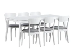 LAINE 6 hengen ruokailuryhmä