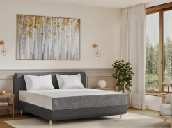TEMPUR EASE sänky paketti 160 x 200 cm
